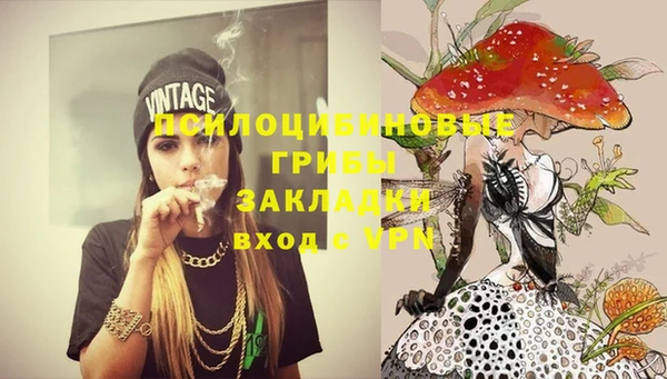 ГАЛЛЮЦИНОГЕННЫЕ ГРИБЫ Лагань