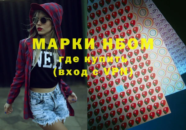 хмурый Белая Холуница