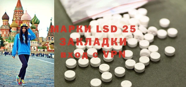 ГАЛЛЮЦИНОГЕННЫЕ ГРИБЫ Лагань