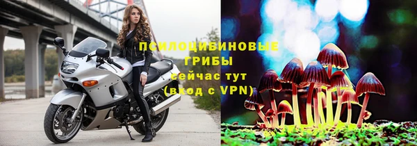 твердый Бежецк