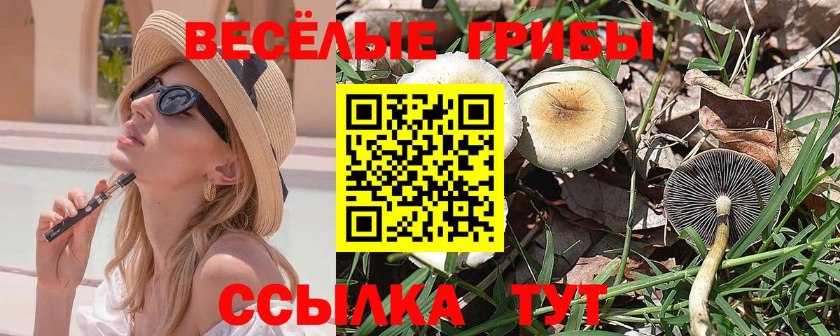 Галлюциногенные грибы мухоморы Луга