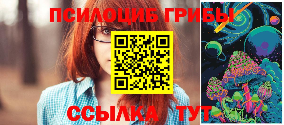 Галлюциногенные грибы Psilocybe  Вход с VPN  Луга  Галлюциногенные грибы мухоморы 